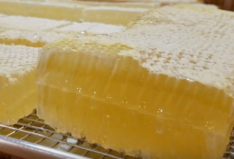 Comb Honey: If You Love Honey, This is as Good as it Gets!