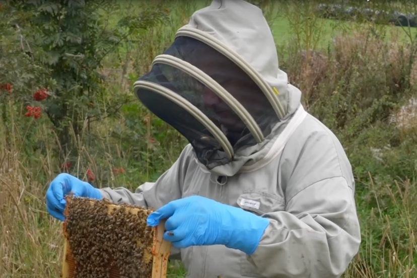 beekeeper safety equipment guide