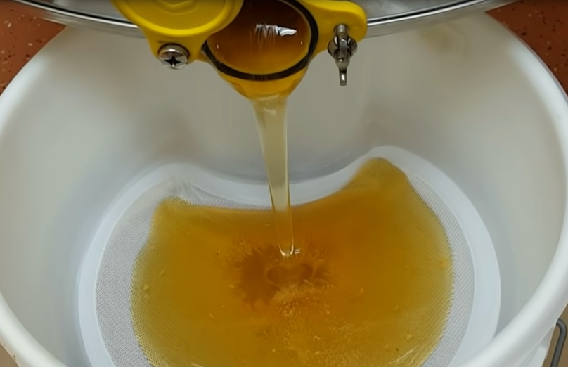 Honey Harvesting Techniques explained