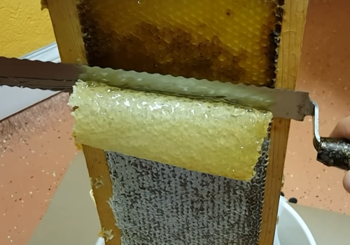 using a knife to uncap honey